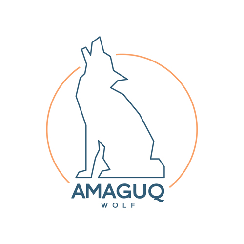 amaguq