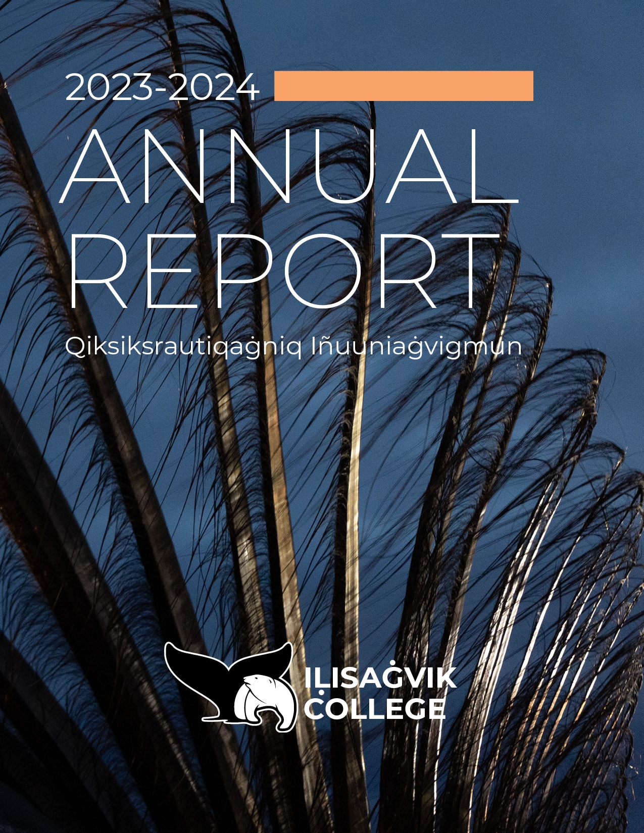 bowhead whale baleen on the cover of the 2024 annual report