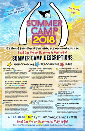 summer camps aina 1766 simon