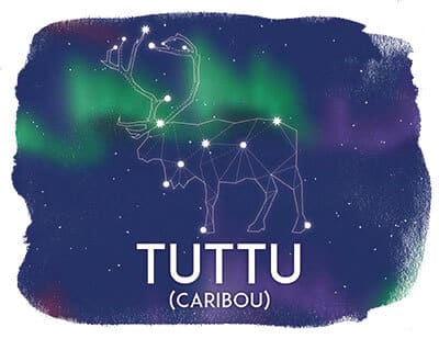 Tuttu, Caribou