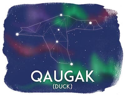 Qaugak, Duck