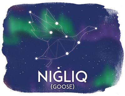 Nigliq, Goose