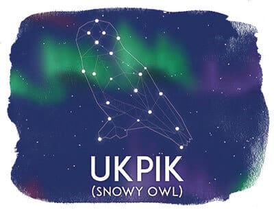 Ukpik, Snowy Owl