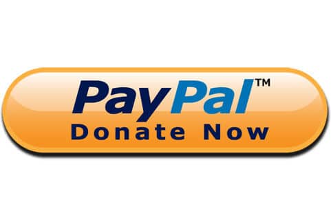 PayPal Donate Now