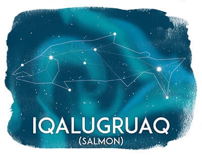 Iqalugruaq, Salmon