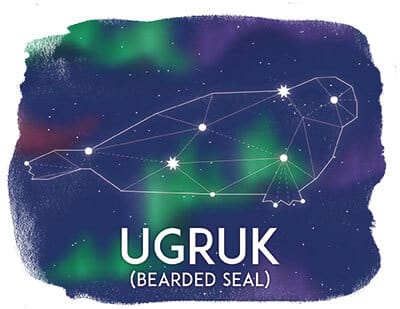 Ugruk, Bearded Seal