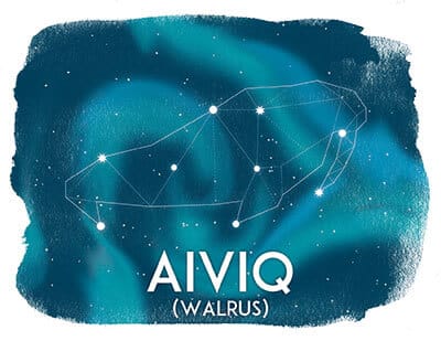 Aiviq, Walrus