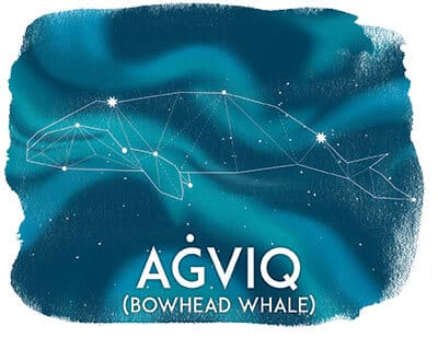 Agviq, Bowhead Whale