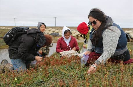 Group of North Slope Borough residents berry pick on the tundra.