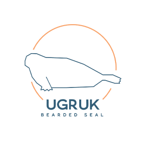 Ugruk (bearded seal)