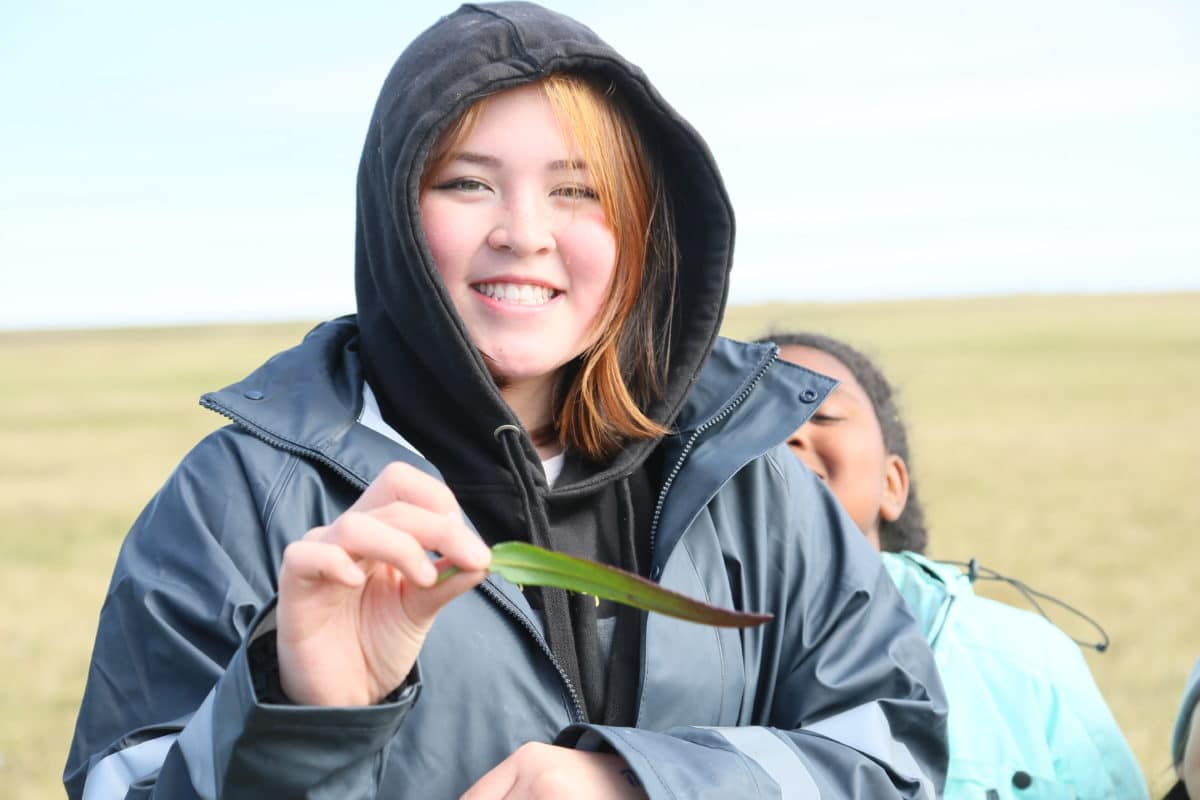 A student foraging plants on the tundra